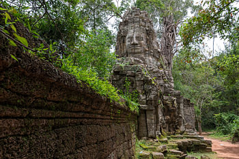 Ta Phrom Ankor Wat