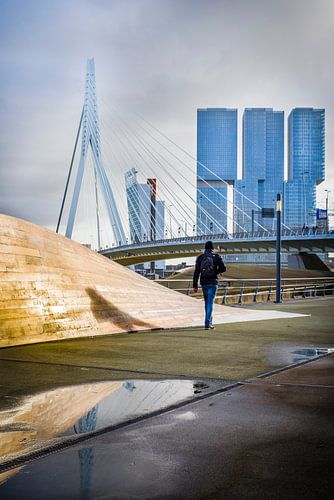 Prachtige Skyline Rotterdam - Euromast, Erasmusbrug, Wilhelminaplein en Kop van Zuid