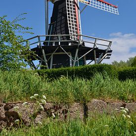 Molen Windlust in Brouwershaven van Rob Pols