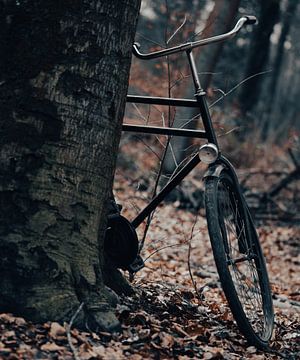 Hollands beeld met fiets tegen boom van Tom Vogels
