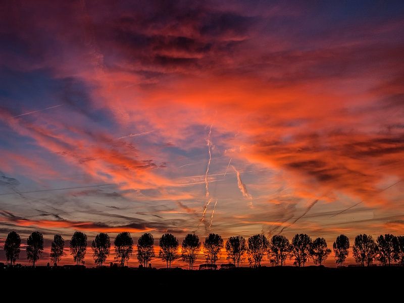 Middenweg mit Pappeln von Mario de Lijser