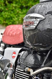 Triumph en andere motorfietsen uit Engeland van Jan Radstake