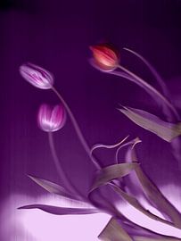 Stile reflection by Heidi Daniëls