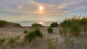 Düne mit Strandhafer bei Sonnenuntergang