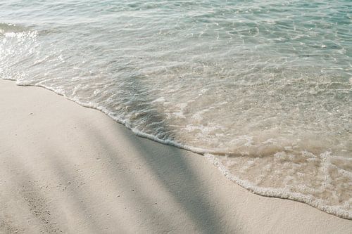 Shade of a palm leaf on the beach | travel photography print | Maldives
