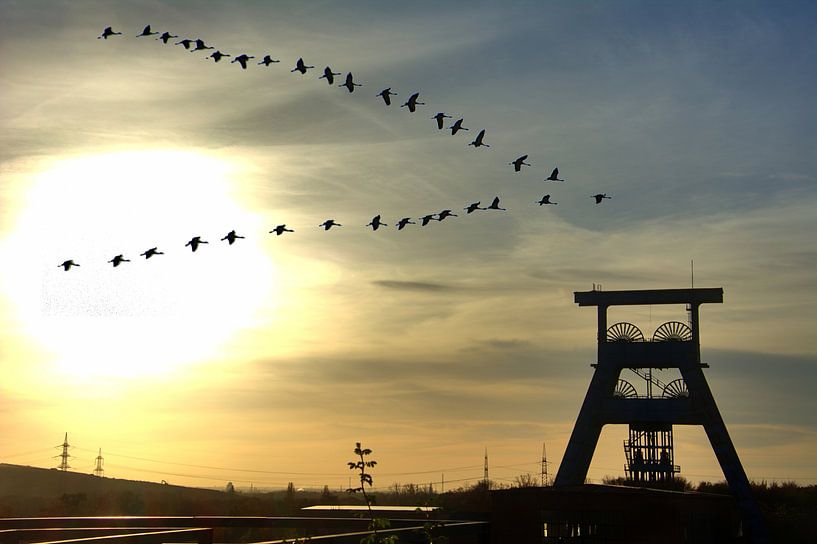 Grues avec tour d'extraction par Edgar Schermaul