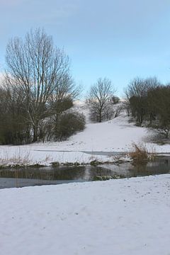 Winter wonderland 1 van Carin Klabbers