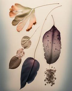 Flatlay von gepressten Blumen kombiniert mit Aquarellfarbe