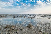 Verstilling in het landschap