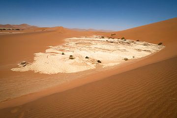 Salzpfanne Sossusvlei von Willemijn Wolthaus