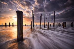 Palendorp Petten von Peter de Jong