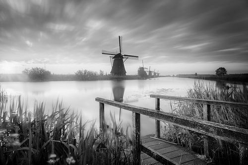 Windmills in Holland , black and white.
