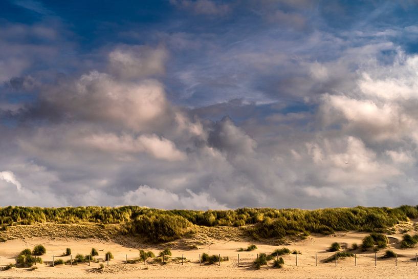 Dune landscape in the Netherlands by Stephan Zaun