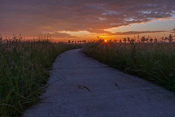 Drenthe bewolkte zonsopgang op fietspad