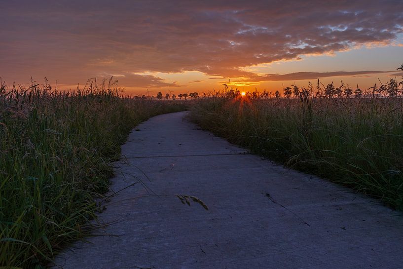 Drenthe cloudy sunrise on bike path by Daphne Kleine