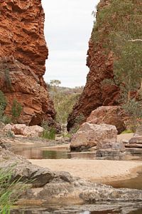 Een rode kloof, de Glen Helen Gorge, in de West MacDonnell Ranges in portrait