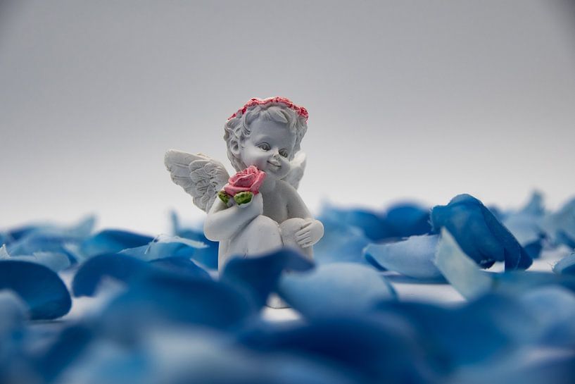 An angel with a rose in his hand with blue artificial flowers by David Esser