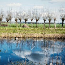 Een stukje natuur in de Alblasserwaard van Consala van  der Griend