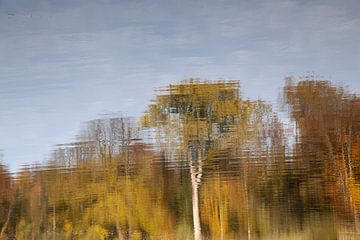 Herfst spiegeling in water van Daan Ruijter