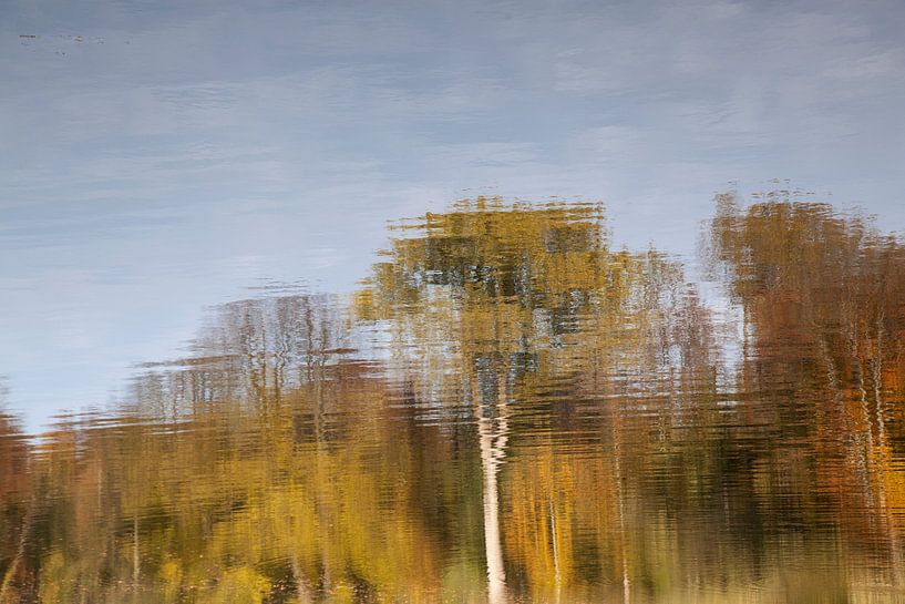 Autumn reflection in water by Daan Ruijter