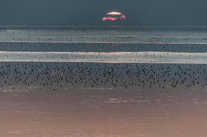 Zonsondergang bij de Waddenzee