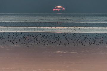 Zonsondergang bij de Waddenzee von Sidney Portier