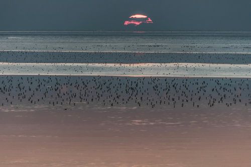 Zonsondergang bij de Waddenzee