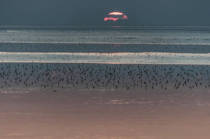 Zonsondergang bij de Waddenzee von Sidney Portier