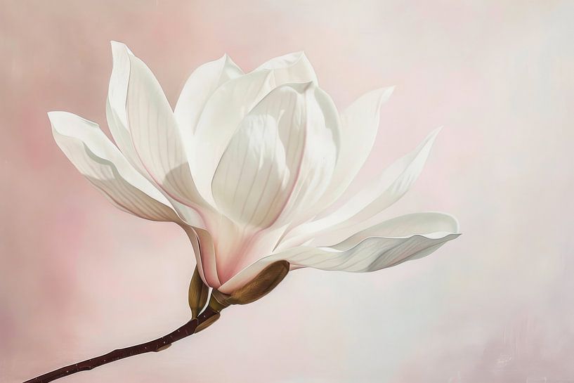 Zarter Magnolienzauber von Poster Art Shop