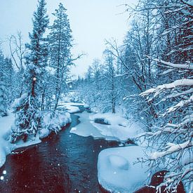 Schneebedeckter Fluss von Jesse Simonis