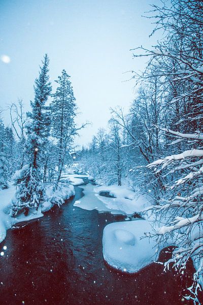 Besneeuwde Rivier van Jesse Simonis