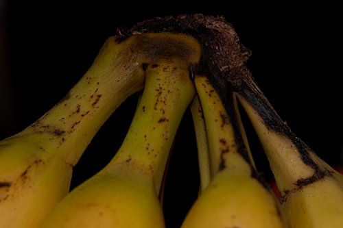 Geel met bruine piramide