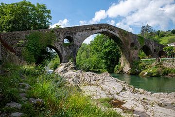 Stenen brug over een rustige rivier omgeven door weelderig groen in spanje van ChrisWillemsen