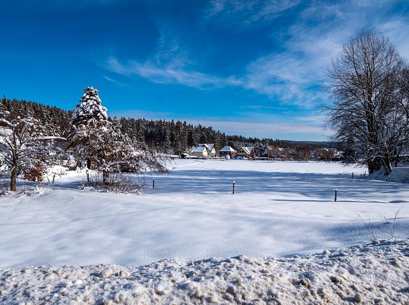 winter Vogtland in Saxony Germany by Animaflora PicsStock