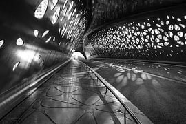 Parkbrug Antwerpen