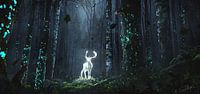 Sage of the Forest