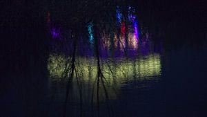 Kleuren in de Nacht