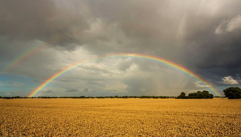 Regenbogen über dem Feld von Frank Herrmann