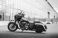 Indian Chieftain Dark Horse