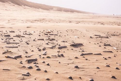 Shells