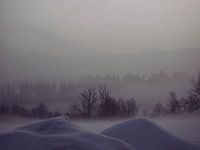 Mistig Landschap