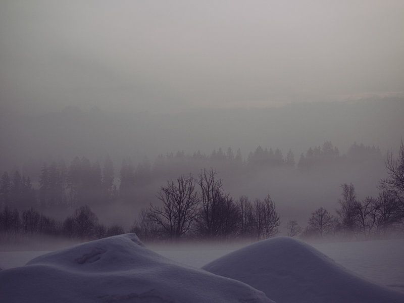 Mistig Landschap van Daniel Verhoef