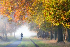 Fietsen in een kleurrijk bos van Harriëtte Giesbers