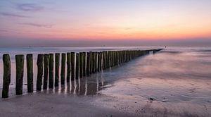 Paalhoofden Cadzand-Bad tijdens zonsondergang. van Ellen Driesse