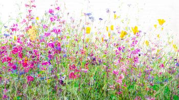De lente een heel jaar in huis - 1