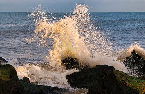 Golven in de avondzon