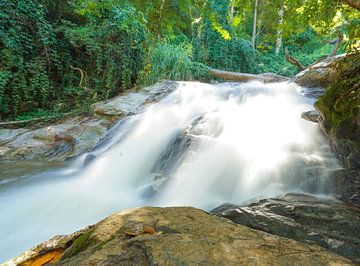 Ein Wasserfall in einem Dschungel von Barbara Riedel