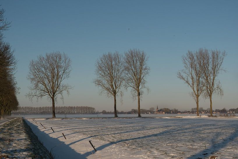 Snow Landscape Gellicum by Moetwil en van Dijk - Fotografie