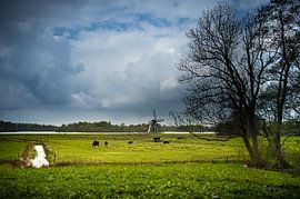 Flach von Elwin Flik