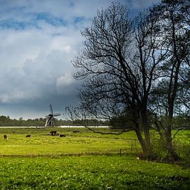 la terre plate sur elwin F